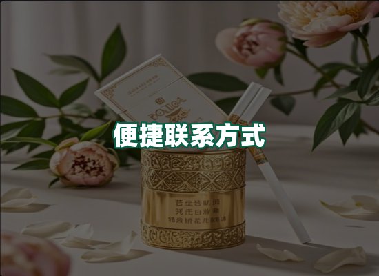 核心优势